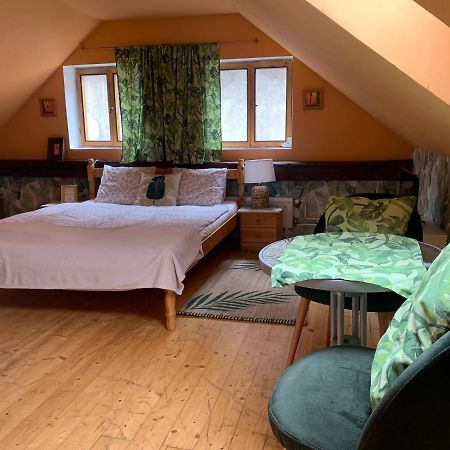 Loft Natalya Gold Apartman Český Krumlov Kültér fotó