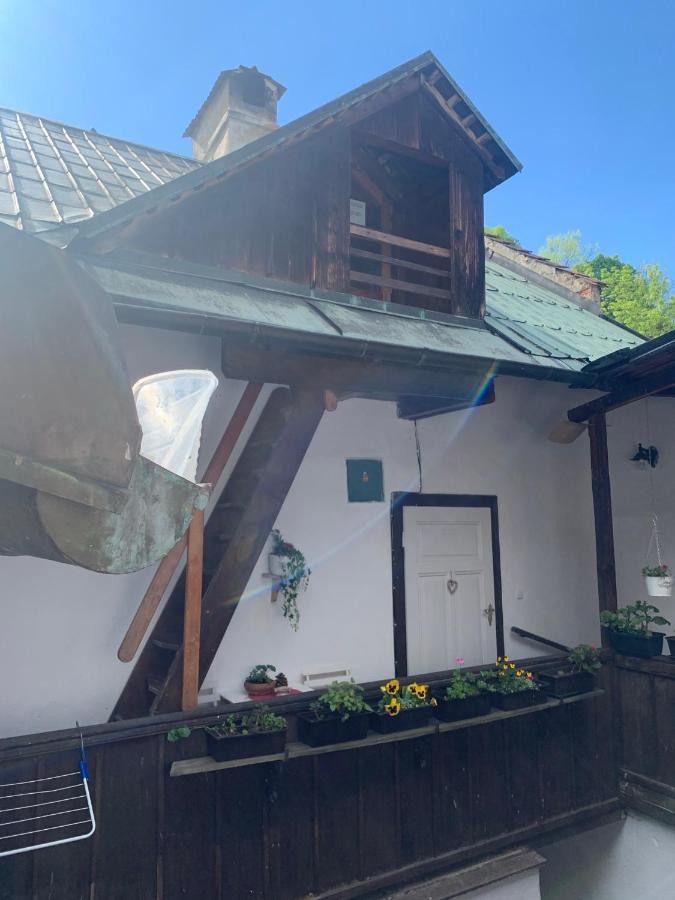 Loft Natalya Gold Apartman Český Krumlov Kültér fotó